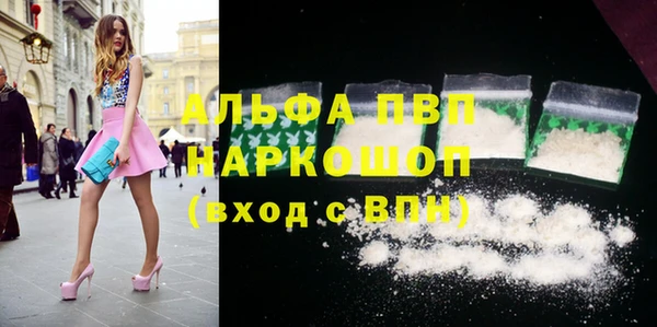 ECSTASY Лагань