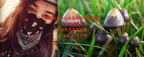 гидропоника Лихославль