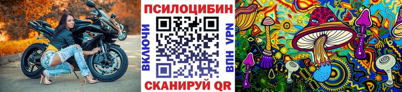 Галлюциногенные грибы мицелий  blacksprut ONION  Мышкин  купить  